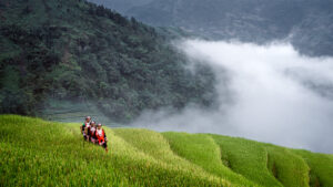 H'mong Ha Giang